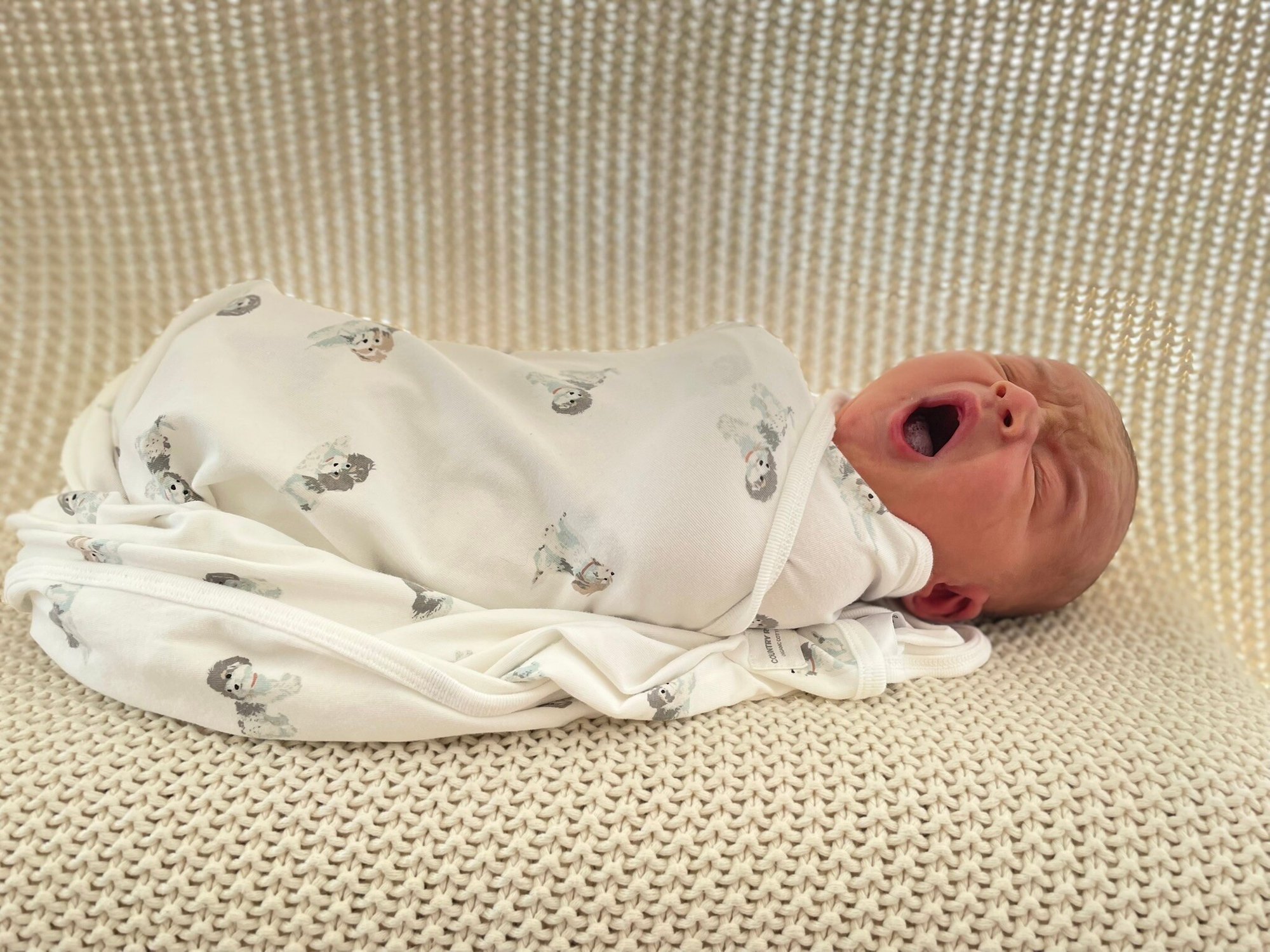 Ryans SMSF Compliance - Xavier Soares